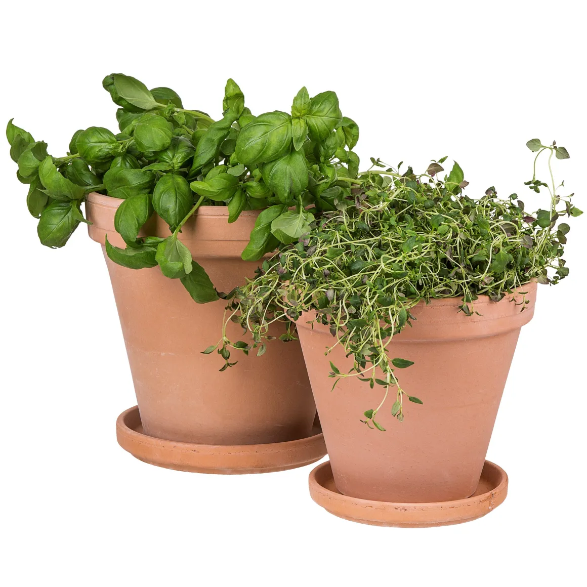 Kruka Terrakotta 18cm